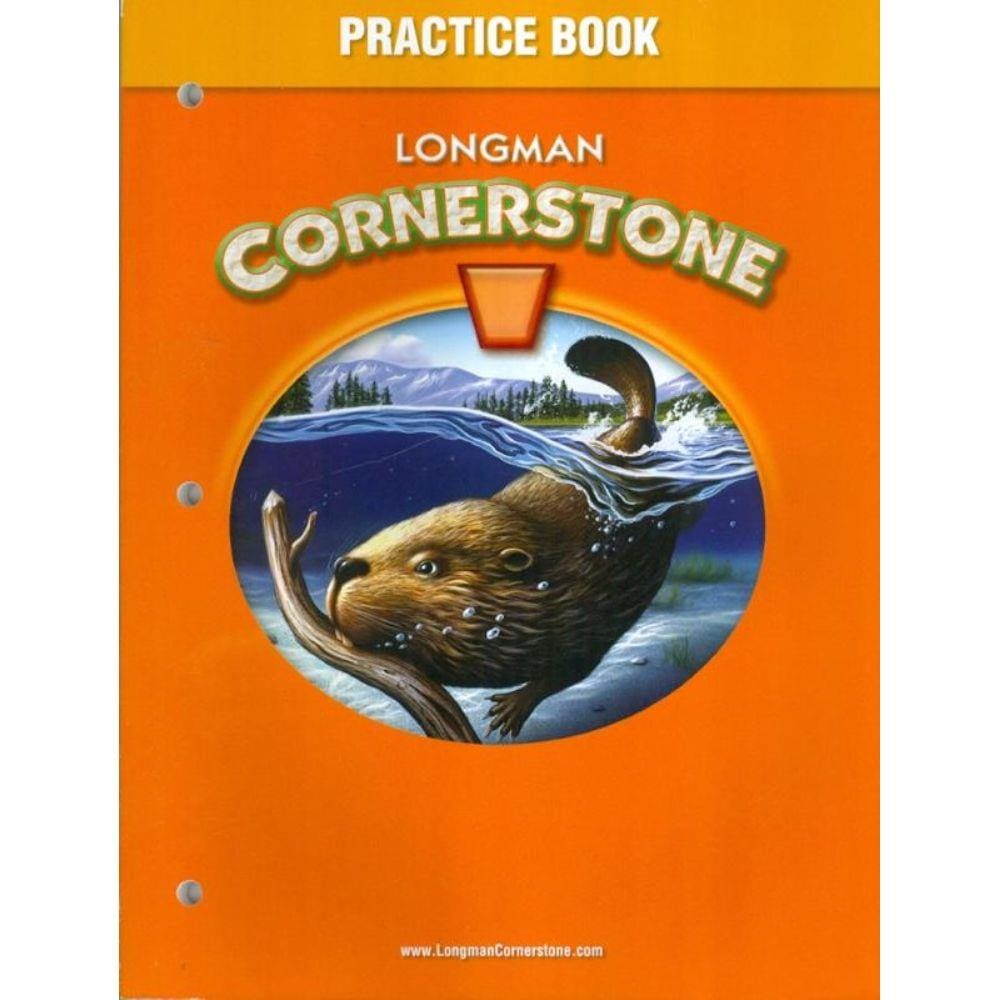 Longman Cornerstone Practice Book Level B
