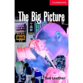 Big Picture, The