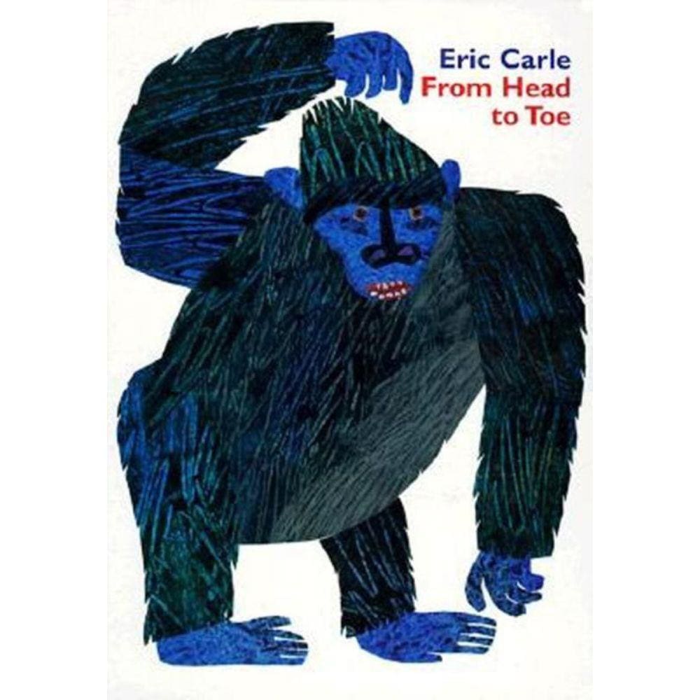 From Head To Toe Board Book