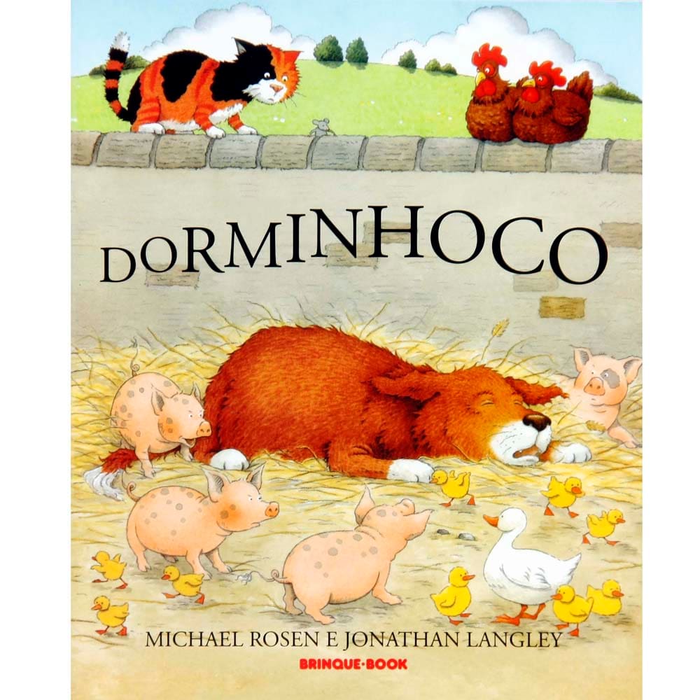 Livro - Dorminhoco