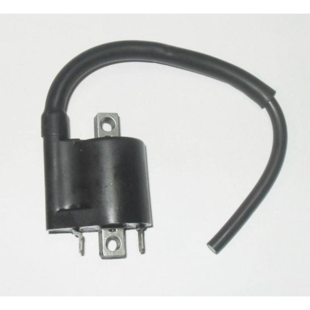 Bob Ign Comet 250 / Mirage 250 Curta (Magnetron)
